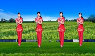 向阳花广场舞 向阳花广场舞