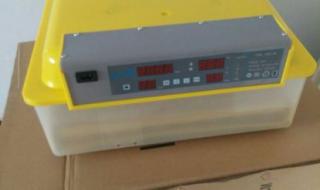 全自动孵化设备 全自动孵化设备